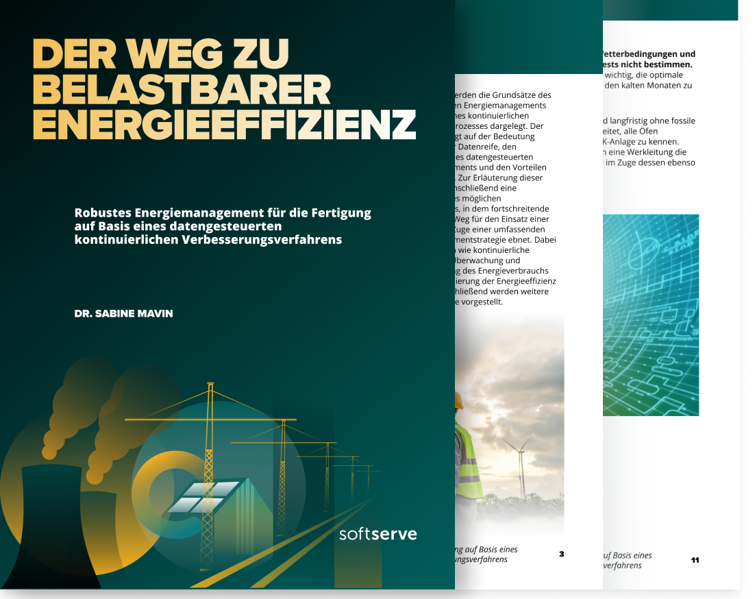 der-weg-energieeffizienz-preview der-weg-energieeffizienz-preview