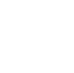 governance-icon-2