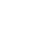 governance-icon-3