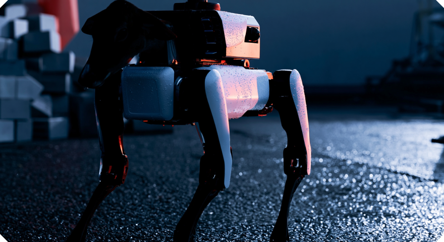 robodog-inspection