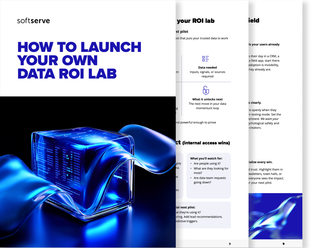roi-lab-preview