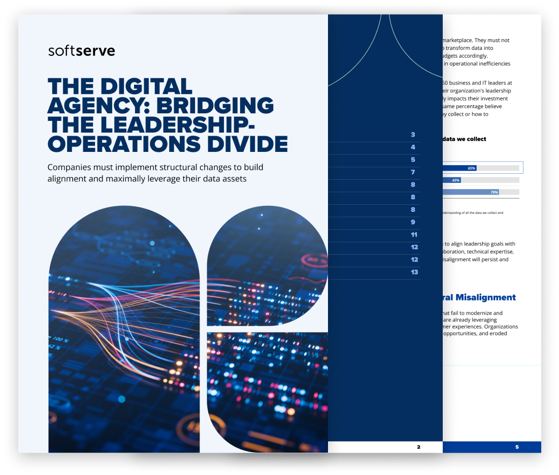 digital-agency-bridging-the-leadership-preview