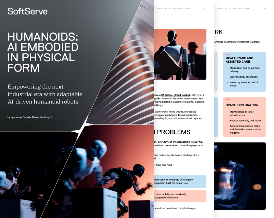 humanoids-ai-embodied-wp-preview