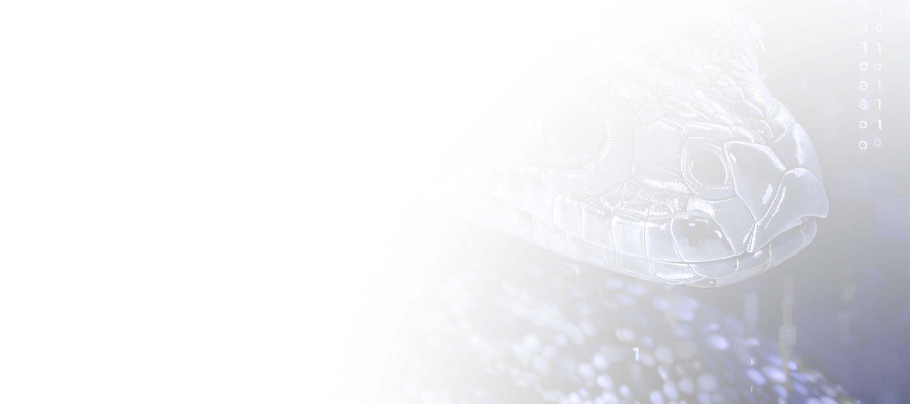 von-cobol-zu-python-illustration