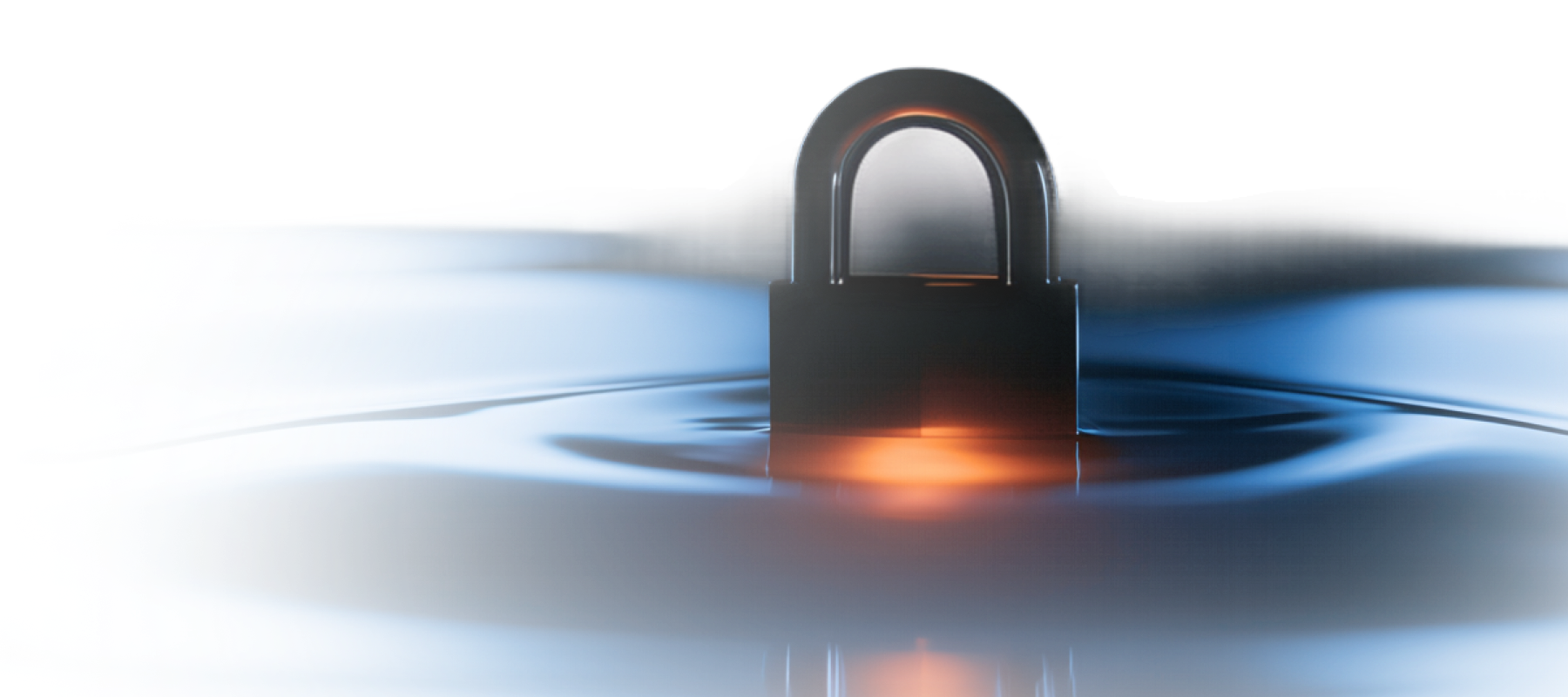 security-for-ai-2-bottom
